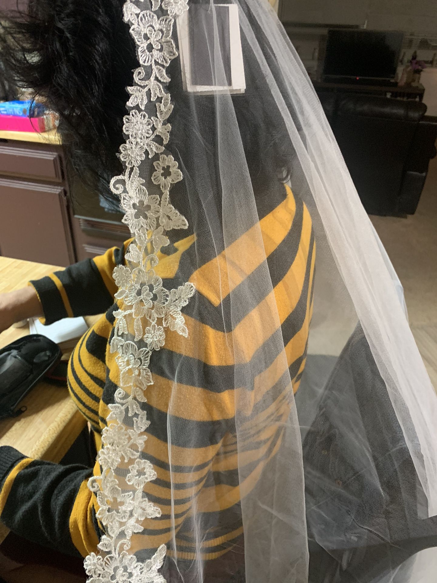 Wedding Veil and Dress 