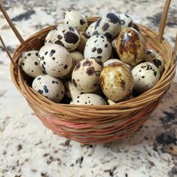 Fresh Quail Eggs 