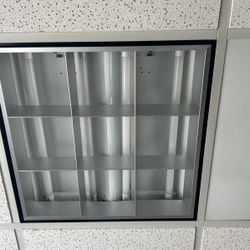 2 By 2 Drop Lights ( 20 All Together)