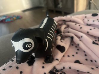 Squishy dachshund