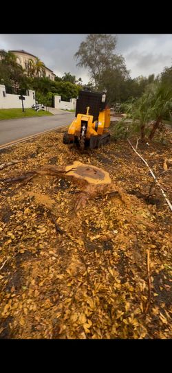 Stump Grinding
