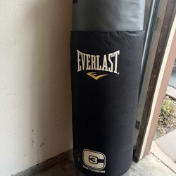 Everlast Punching Bag