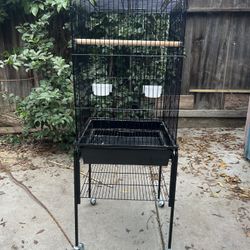 Bird Cage