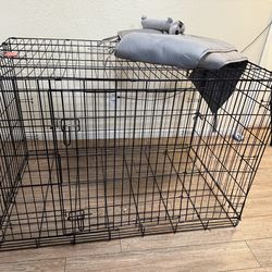Huge dog cage with grey padded bumper