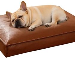 Orthopedic Dog Bed