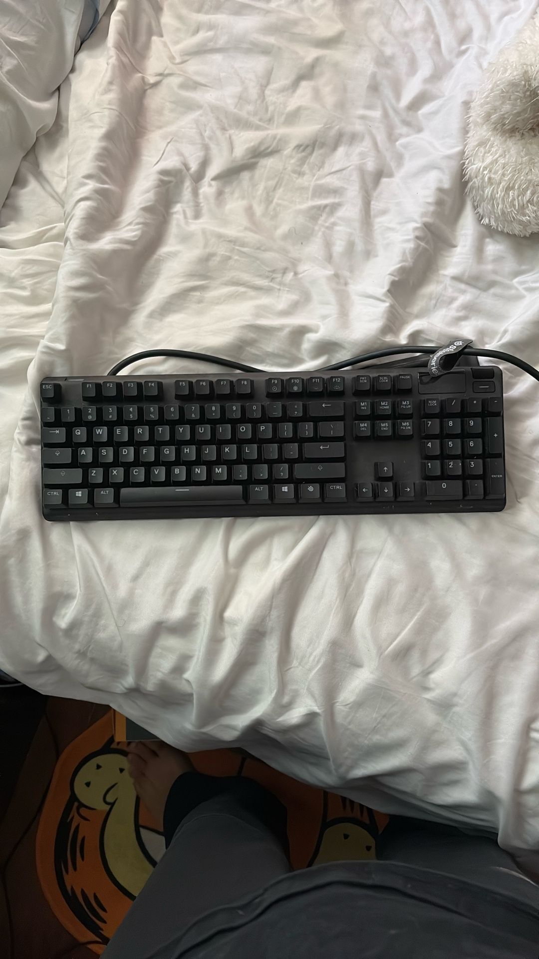 Steel Series Keyboard (send Offers)