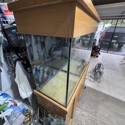 Fish Tank