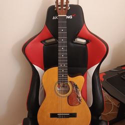 Acoustic Classic Guitar Palmer