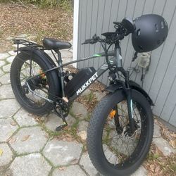 Electric Bike 