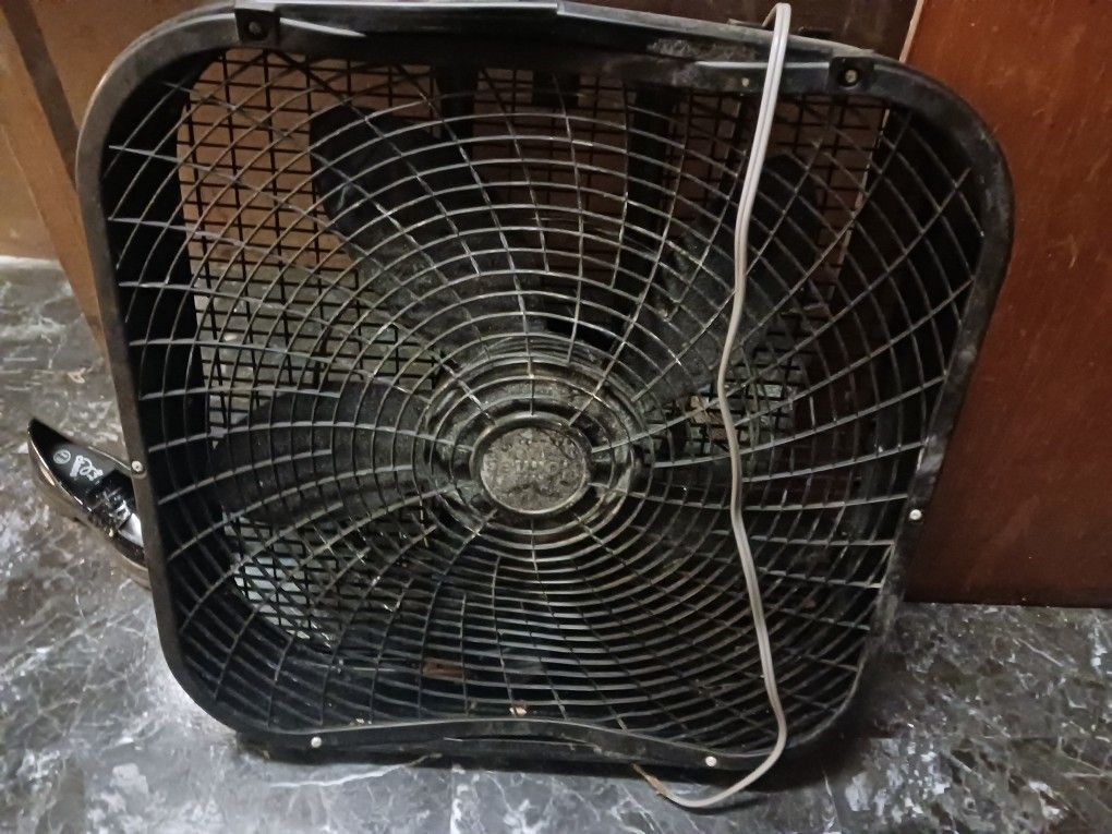 Fans