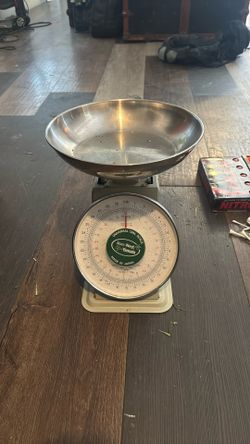 Scale