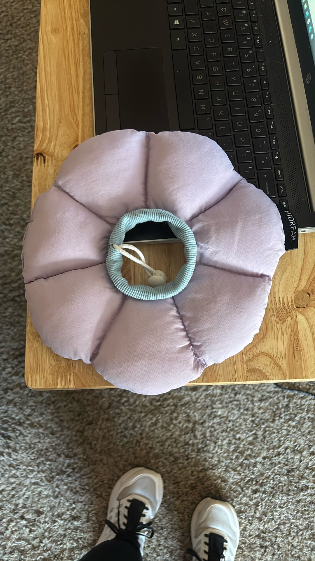 HiDream Dog Cone Collar
