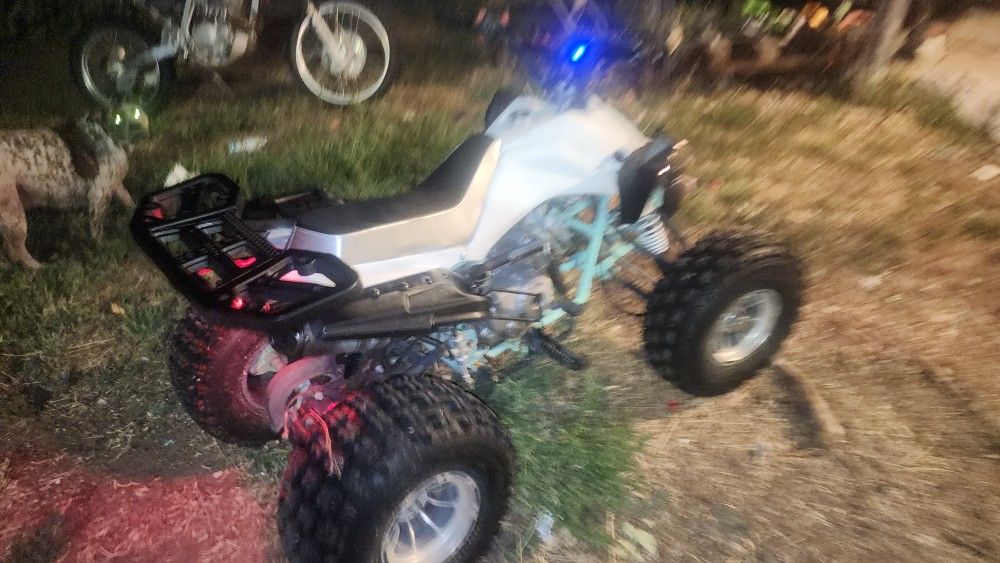 2019 Tao Tao Cheetah