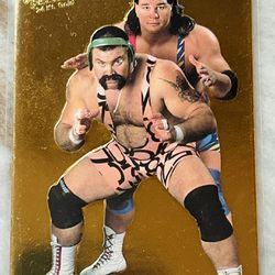 WWE 1994 WWF Action Packed Steiner Brothers 24 Kt Gold Rare Insert 5G Wrestling