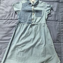 Girls Dress (Child)