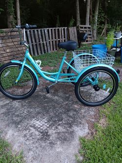 Adult New 24" Blue Tricycle