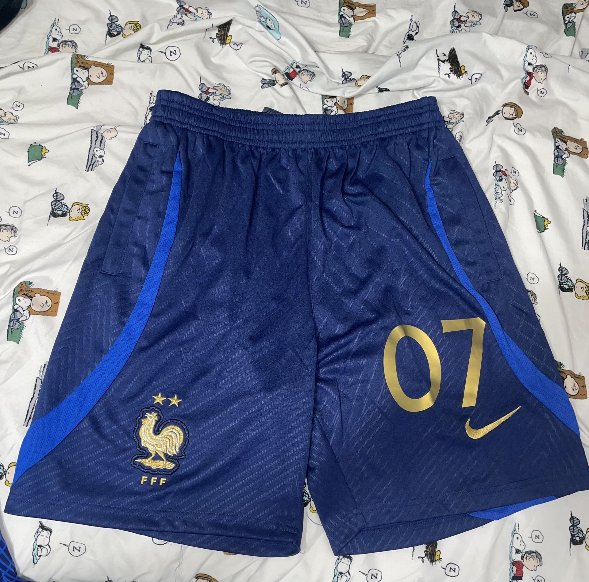 France Soccer Shorts