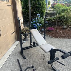 Weight Bench 