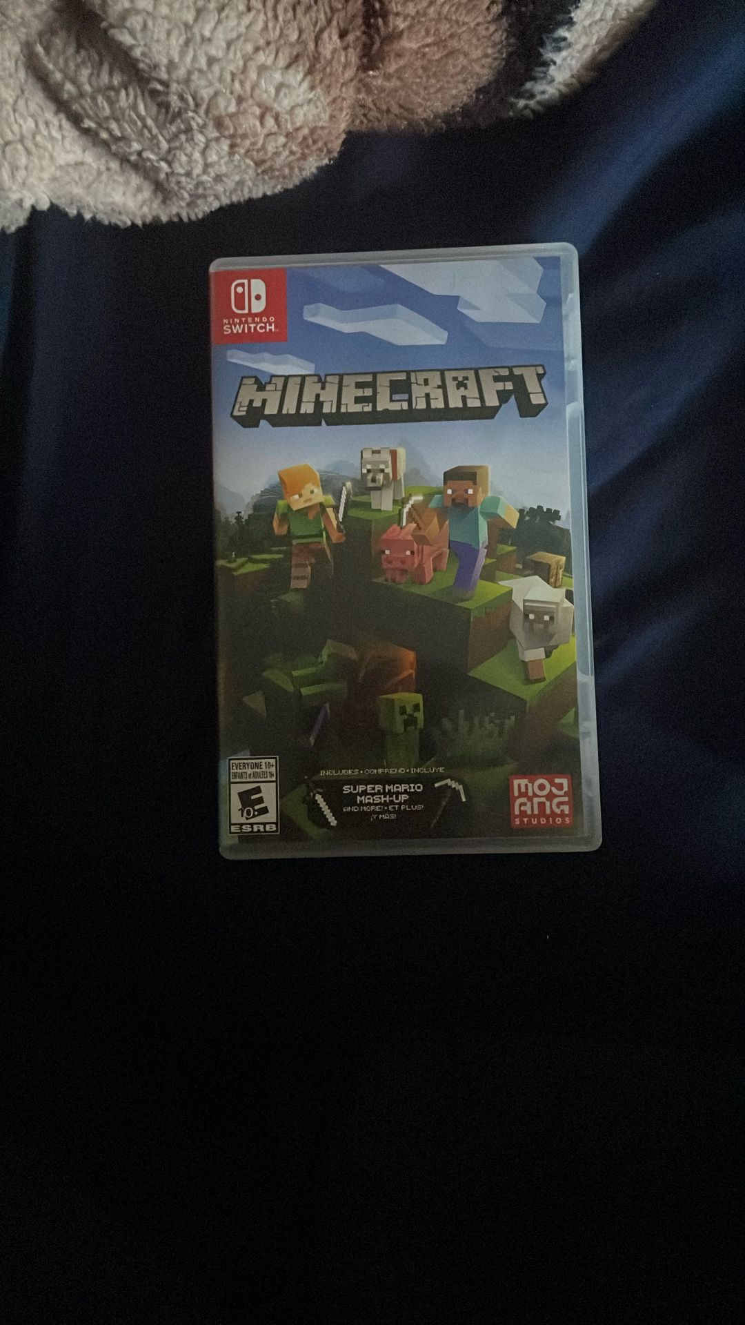 Minecraft game