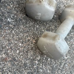 10 Lb Dumbbell 