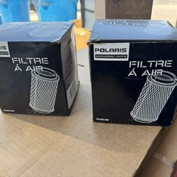 Polaris Air Filters