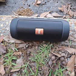 Bluetooth Speaker 