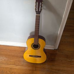Acoustic Guitar