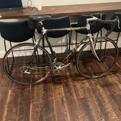 Specialized Retro Allez Epic  (Carbon Fiber)