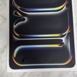 I pad pro 11’ w/ M4 chip 