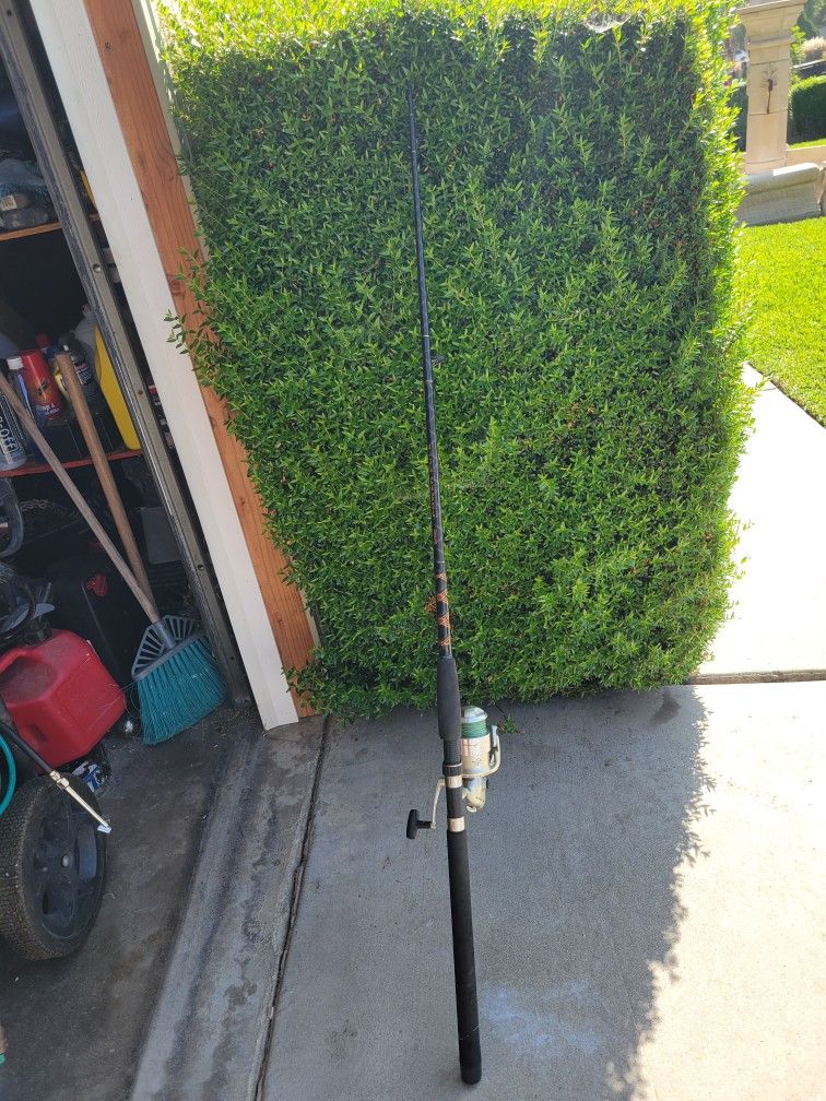 Rod And Reel