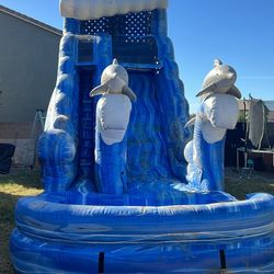 20’ Water Slide