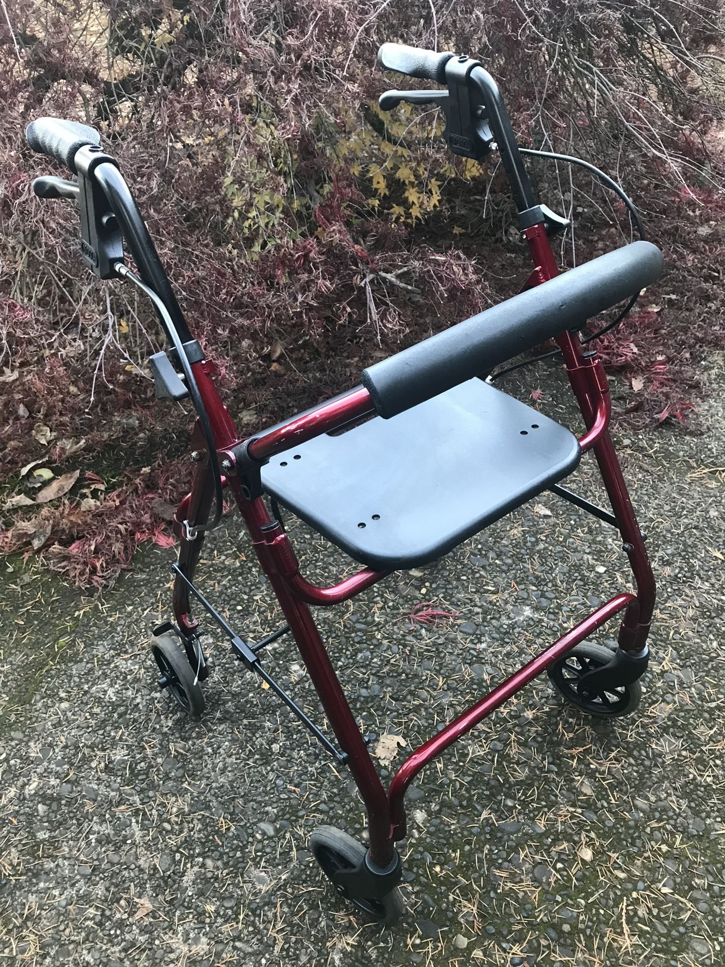 Rolling Walker (300lb capacity!)