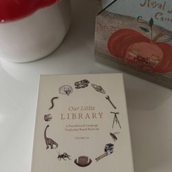 Our Little Library 
