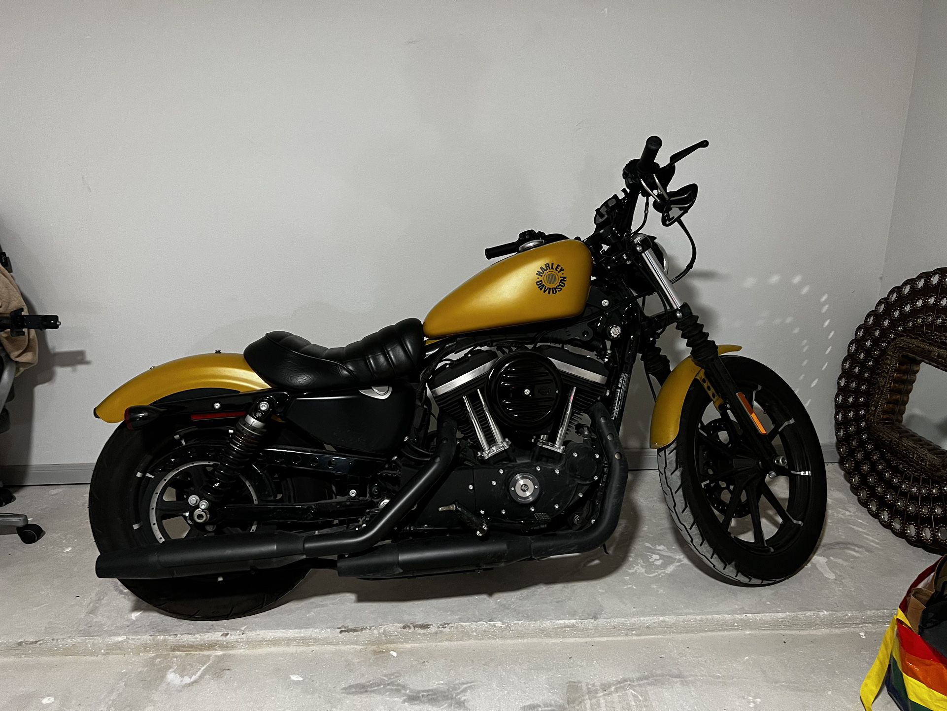 2019 Harley Davidson Sportster- Iron 883