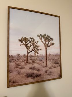Framed Joshua Tree Desert Photography Print