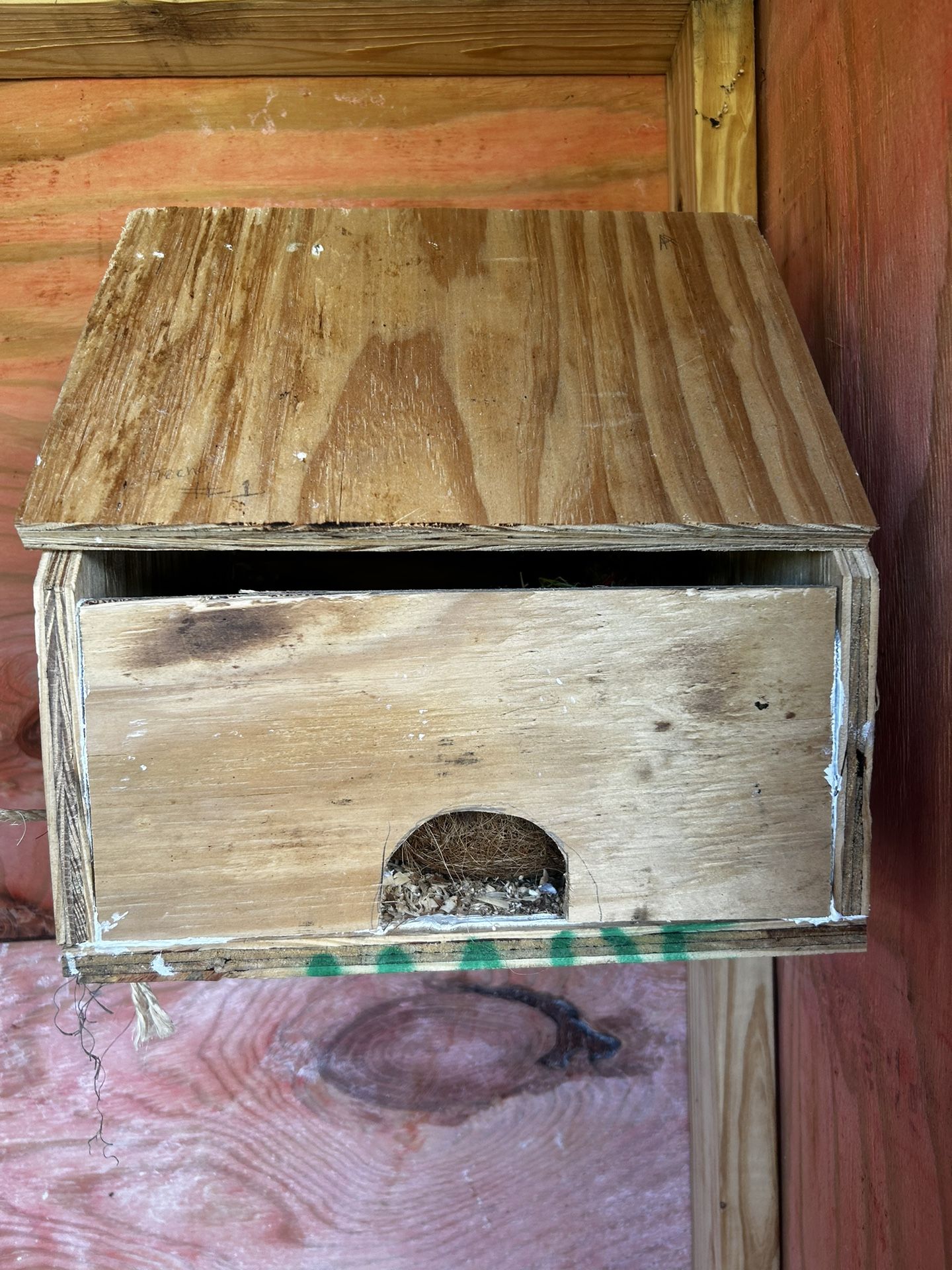 Bird Cage