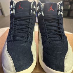 Jordan 12 