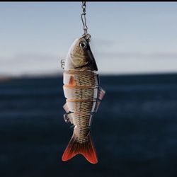 Fishing Lures