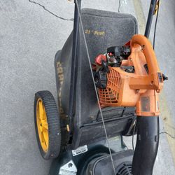Push Mower Craftsman Echo Blower Perfectly Working Condition Tested Before Buy It.  250$$ Cash 