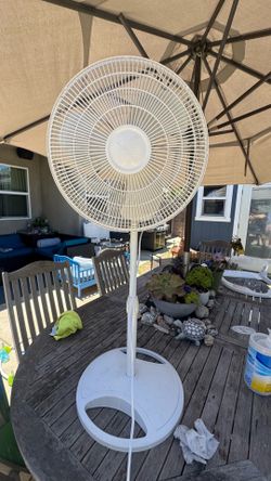 Fan