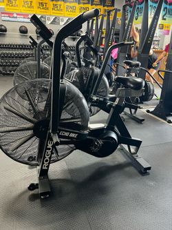 Rogue Echo Bike