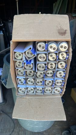 Light bulbs