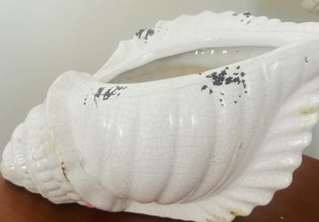Sea Shell Vase /Home decor /beach