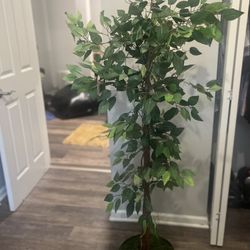 Tall Artificial Ficus Tree in Decorative Pot – 5ft