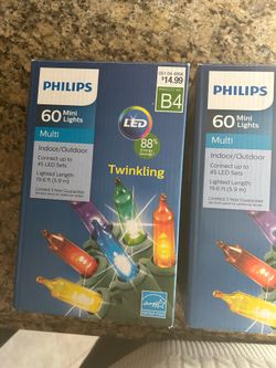 NEW! Indoor/Outdoor Twinkling Lights (Philips)