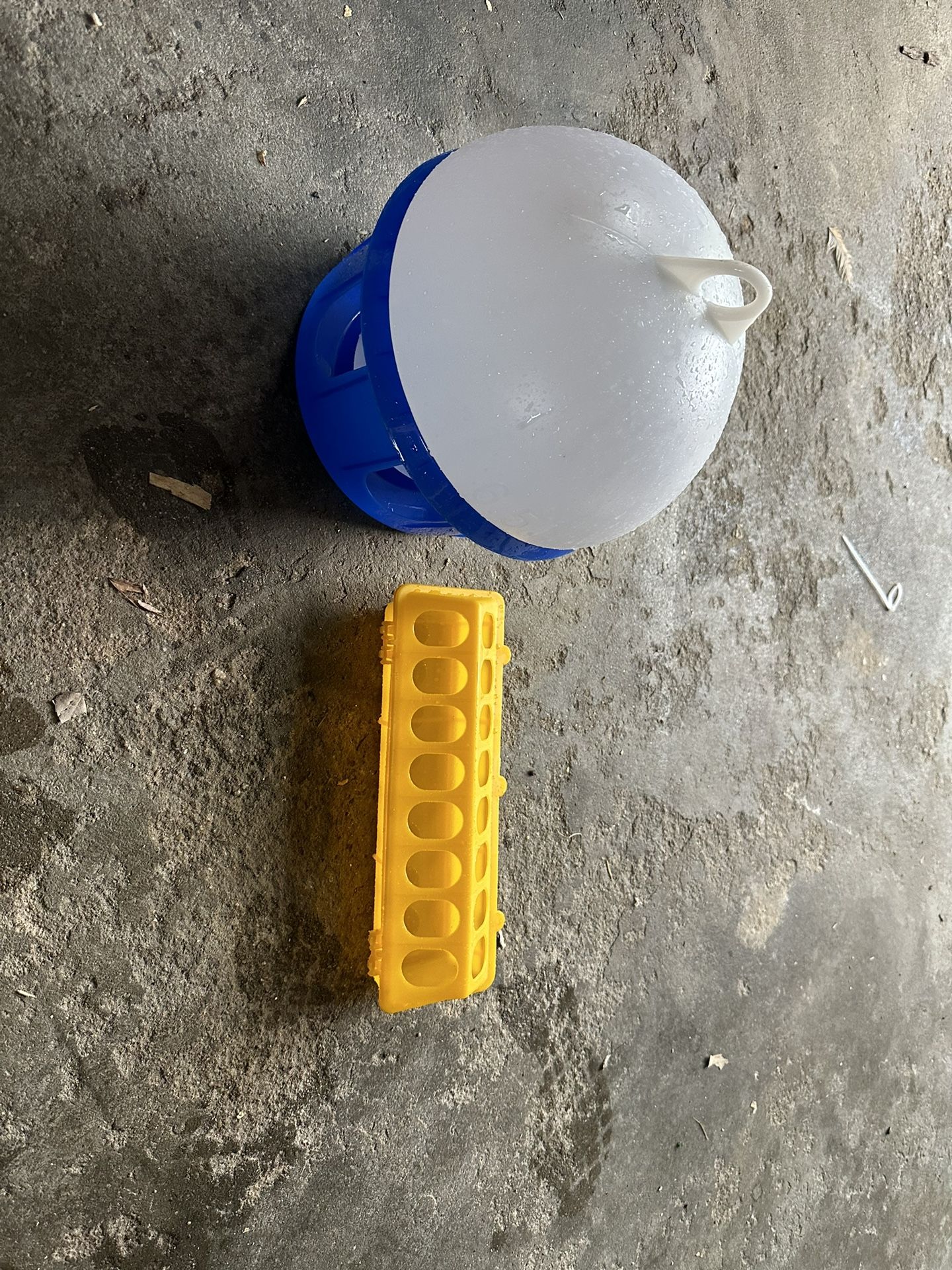 Pigeon feeder/waterer