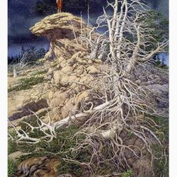 "Prayer for the Wild Things" by Bev Doolittle