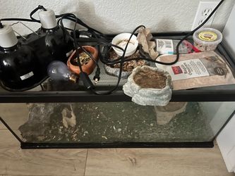 Reptile tank