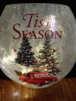 Frosted Holiday Luminary Decoration