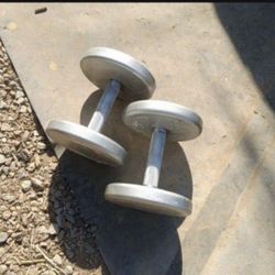 Dumbbells 2x32.5lbs